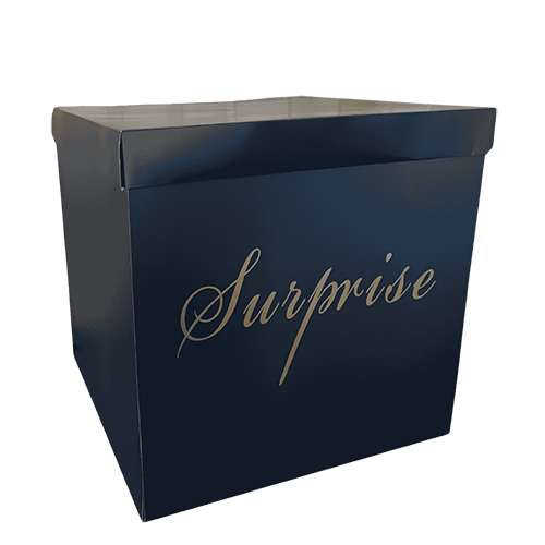 Surprise Box 50X50 Black - Borosino