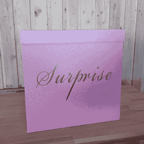 Suprise Box sizes 50*50 Pink (FR)