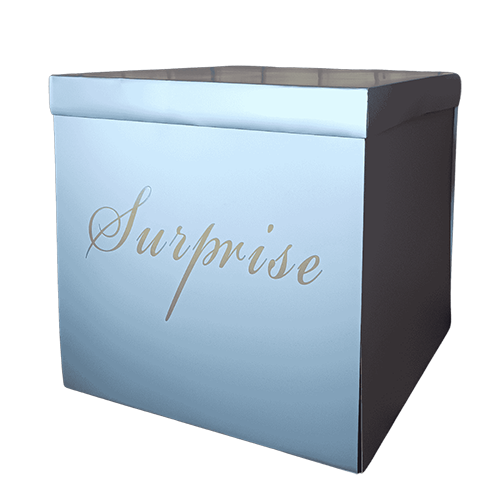 Surprise Box 50X50 Silver- Borosino