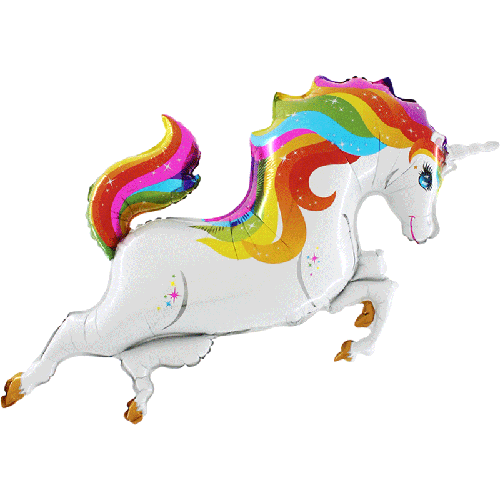 RAINBOW UNICORN BODY 48' PACK (FR)