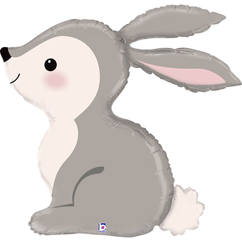 Lapin 31" - Grabo