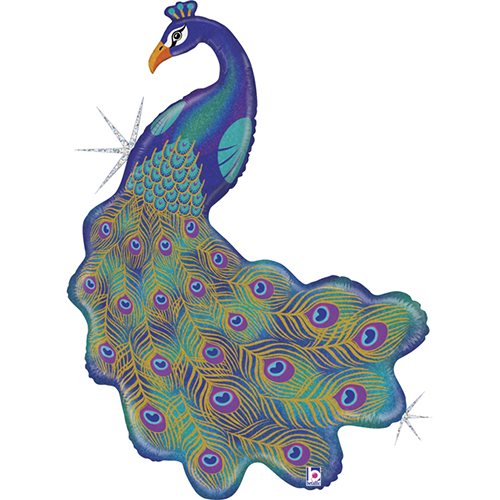 GLITTER PEACOCK 41' Emballé (FR)