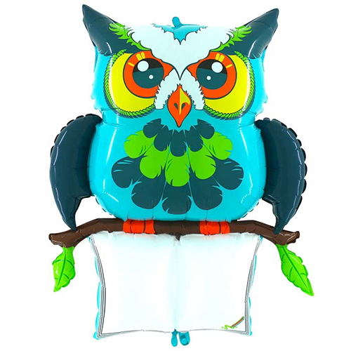 B--PAD LUCKY OWL 47'' PACK (FR)