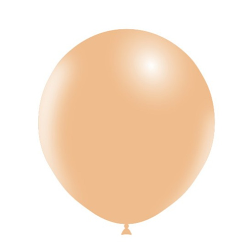 25 BALLONS LATEX 18' ( 45cm ) STANDARD PECHE (FR)