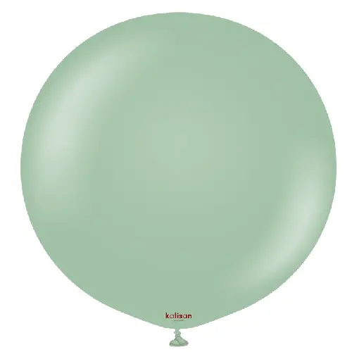 18" Retro Ballon winter green 1ct FDS - Kalisan