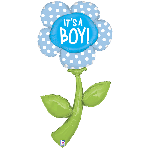 [G35295-P-FR] FRESH PICKS IT'S A BOY 5' PACK (FR)