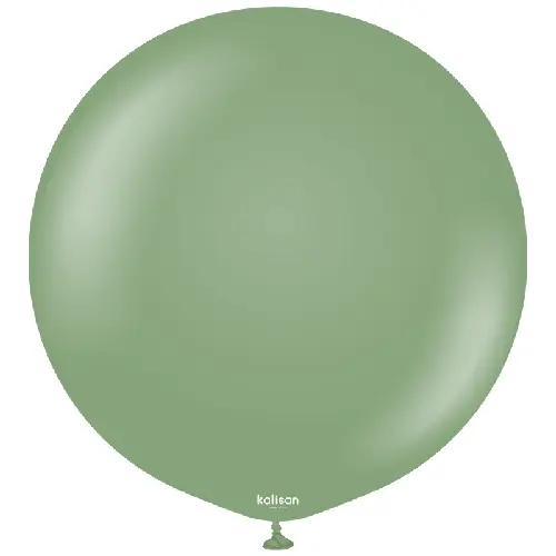 [12480089-FR] 24" Retro Ballon eucalyptus * 1b Latex FDS