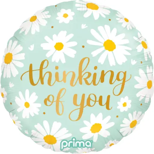 [PF-0064-18-FR] 1 alu 18" Thinking of You Marguerites - Prima